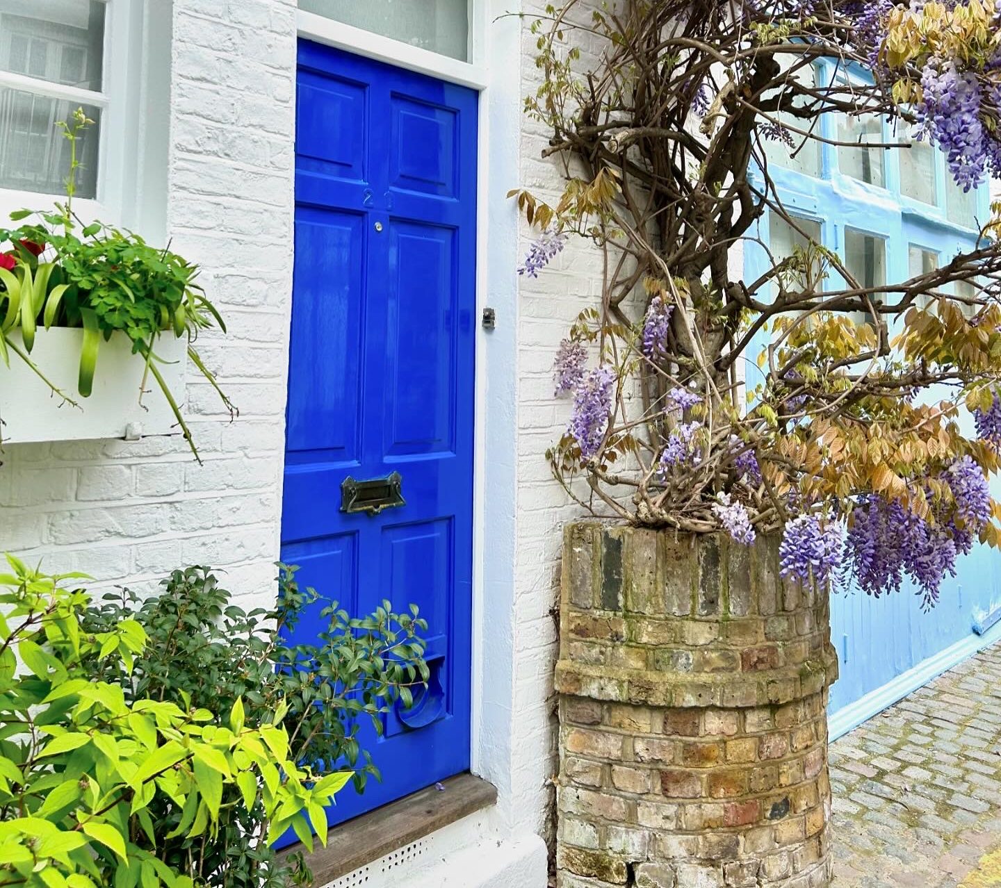 A beautiful cottage adorned with wisteria in Notting Hill.