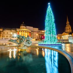 Trafalgar Square at night with the lit Christmas tree.