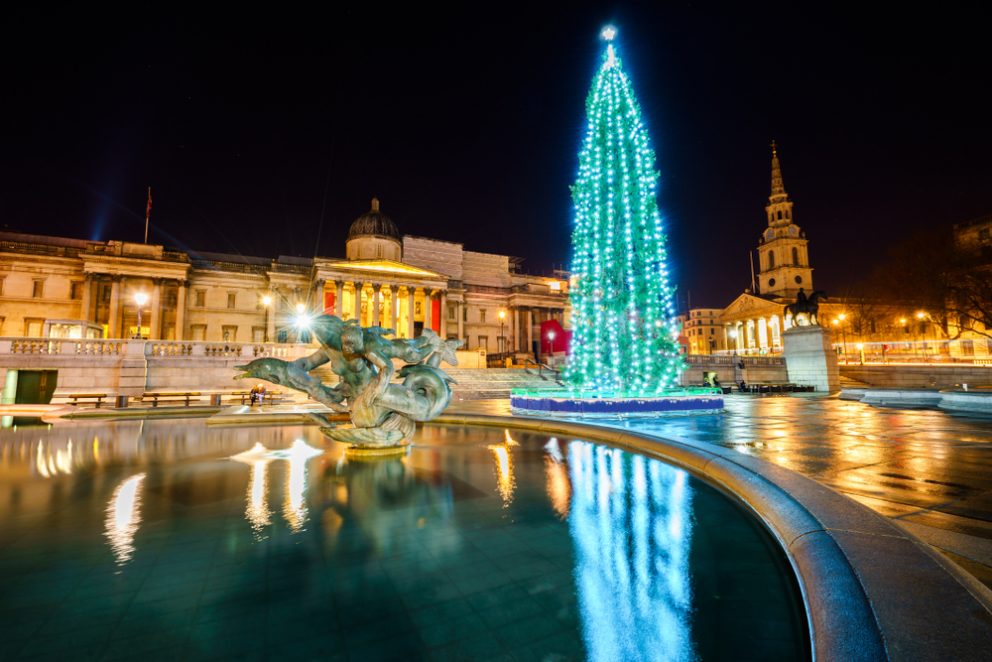 Trafalgar Square at night with the lit Christmas tree.