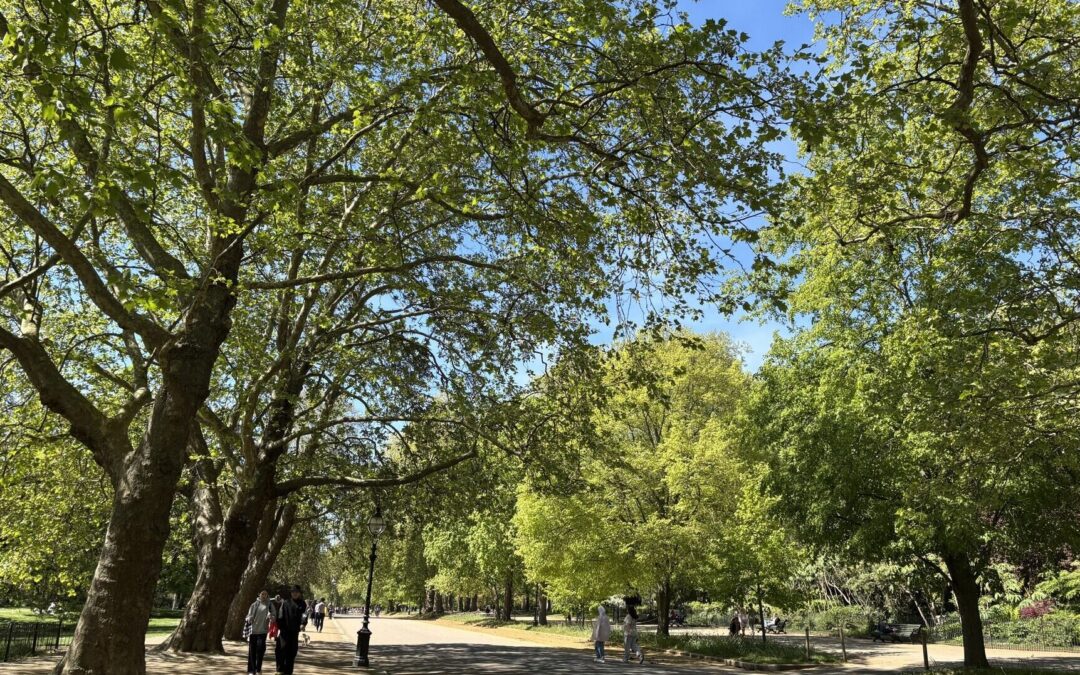 Keeping Cool in Mayfair: Top Things to Do During a London Heatwave