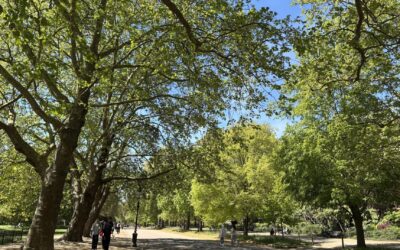 Keeping Cool in Mayfair: Top Things to Do During a London Heatwave