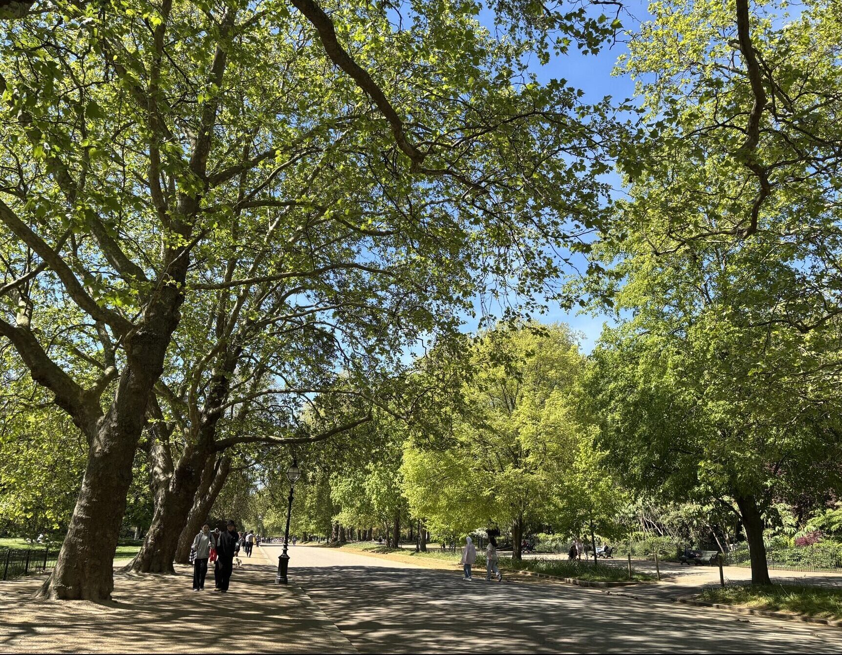 Keeping Cool in Mayfair: Top Things to Do During a London Heatwave