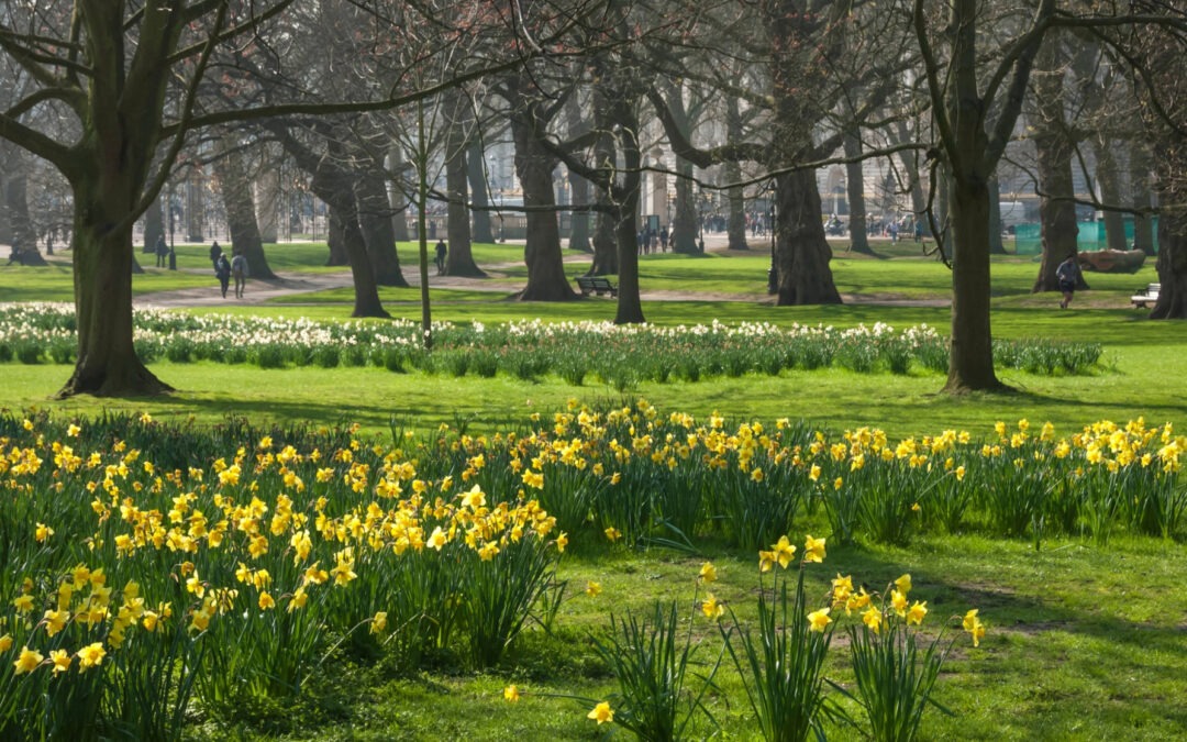 Discover a Quieter London