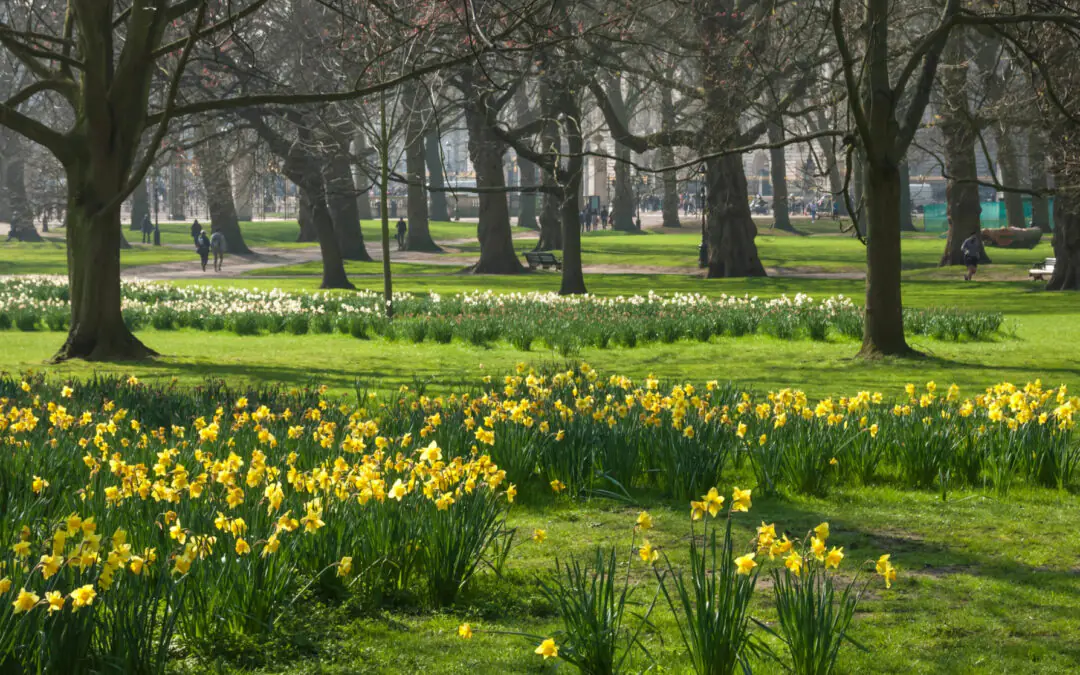 Discover a Quieter London