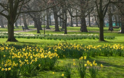 Discover a Quieter London
