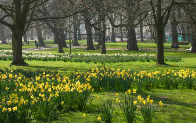 Discover a Quieter London