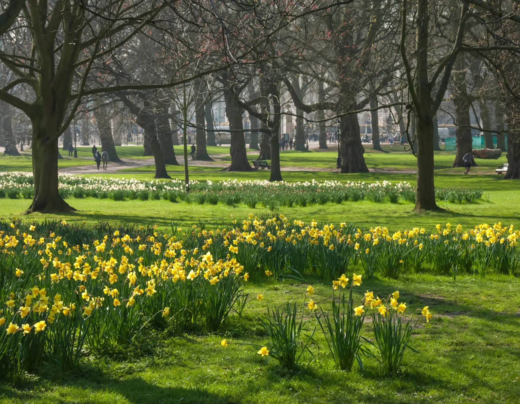 Discover a Quieter London